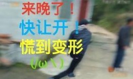 客服的吃瓜日常,揭秘吃瓜群众的欢乐时光