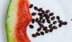 不吃瓜只吃籽,探寻不吃瓜只吃籽的独特风味