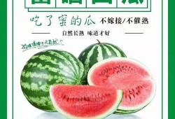 小庞吃瓜化学,吃瓜中的科学奥秘探索