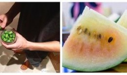 吃瓜战斗力,揭秘娱乐圈幕后真相