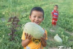 宝宝吃瓜群众视频