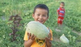 宝宝吃瓜群众视频