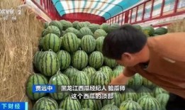 黑龙江 吃瓜,瓜果飘香，品味东北风情