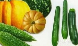 吃瓜的步骤,吃瓜步骤全解析