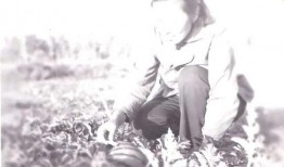 吃瓜祖母,揭秘娱乐圈背后的温馨故事