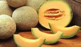 地主吃哈密瓜,一段传奇的甜蜜邂逅