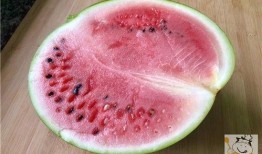 做完核酸回家吃瓜,悠闲回家吃瓜，享受夏日时光