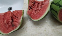 新疆最近吃瓜,民生福祉持续升温