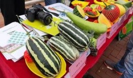 章丘最近吃瓜事件,一场引发热议的社区事件回顾