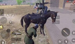 和平精英老六吃瓜,老六吃瓜事件，揭秘游戏圈幕后风云