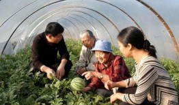 吃瓜祖母,揭秘娱乐圈背后的温馨故事