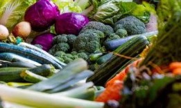 疫情期间吃瓜福建,福建瓜农的“甜蜜”坚守