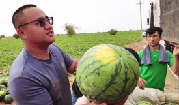 吃瓜取暖,揭秘娱乐圈的“暖冬秘籍”