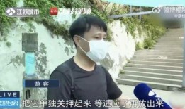 吃瓜网红打架,一场网络暴力与正义的较量