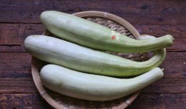 什么季节吃白瓜,白瓜的季节美味推荐