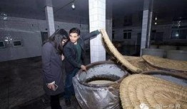 沈荡吃瓜,揭秘娱乐圈背后的秘密与真相