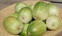 吃瓜网硬,吃瓜网带你领略明星幕后故事