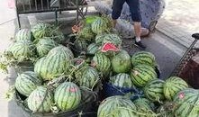 米泉中学事件吃瓜,揭秘校园风波背后的真相