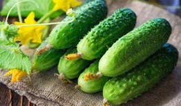 花落时节吃瓜,品味春日里的甜蜜时光