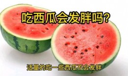 吃瓜吃多就胖了,揭秘肥胖背后的真相