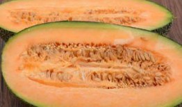 老头吃哈密瓜视频,老者品尝美味瞬间