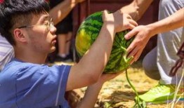 吃瓜大学俱乐部,揭秘校园里的“瓜田”盛景