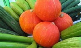 瓜菜能隔天吃,营养与健康的双重保障