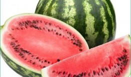 胃炎可以吃树瓜吗,营养与健康的双重选择