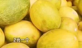 哈密瓜免费吃地点