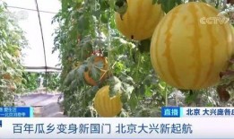花戎吃瓜现场