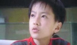 吃瓜男童星艺人,男童星艺人的成长之路