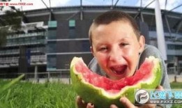 国羽吃瓜表情包,揭秘羽毛球赛场上的欢乐瞬间