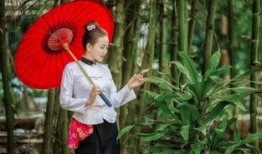 德宏吃瓜女生,揭秘当地独特美食文化