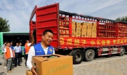 司机师傅吃瓜,司机师傅的意外吃瓜经历