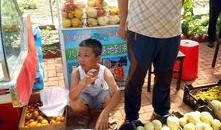 吃瓜业主挑瓜现场图片,吃瓜业主挑瓜大赛，瓜界风云再起