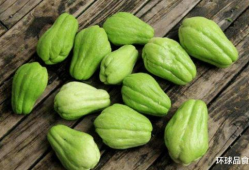 都有什么炒着吃的瓜,盘点那些炒着吃的美味瓜类