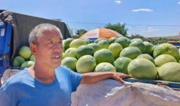 吃打籽瓜好吗,吃打籽瓜的益处与注意事项