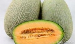 家里吃哈密瓜的视频教程,家庭版视频教程详解