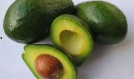 澳洲飞碟瓜怎么吃,澳洲飞碟瓜的多样食法探索