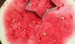 不吃瓜只吃籽,探寻不吃瓜只吃籽的独特风味