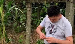 偷瓜吃的下场,一幕生动的道德警示