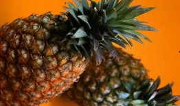 吃瓜直播菠萝,吃瓜群众见证菠萝的“网红”蜕变