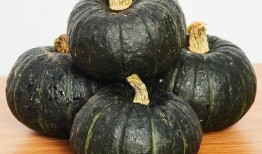 吃贝贝瓜过敏吗,食用安全与过敏风险