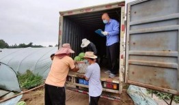 吃瓜群众享口福,揭秘美食盛宴背后的故事