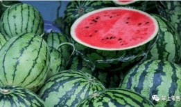 吃瓜为师,吃瓜群众视角下的师生关系