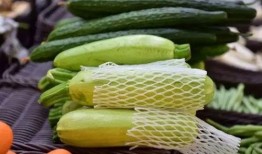 啊钟吃瓜,揭秘娱乐圈那些不为人知的幕后故事