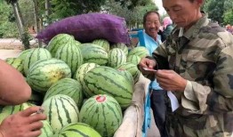 金昌大爷吃瓜事件,一场引发全民热议的网络狂欢