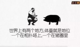 吃瓜文案搞笑长篇,一场吃瓜文案的欢乐盛宴