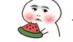 嗷大猫吃瓜图片,萌态十足，网友直呼可爱爆表！