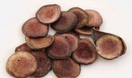 吃鹿茸可以吃咸瓜吗,健康饮食新主张